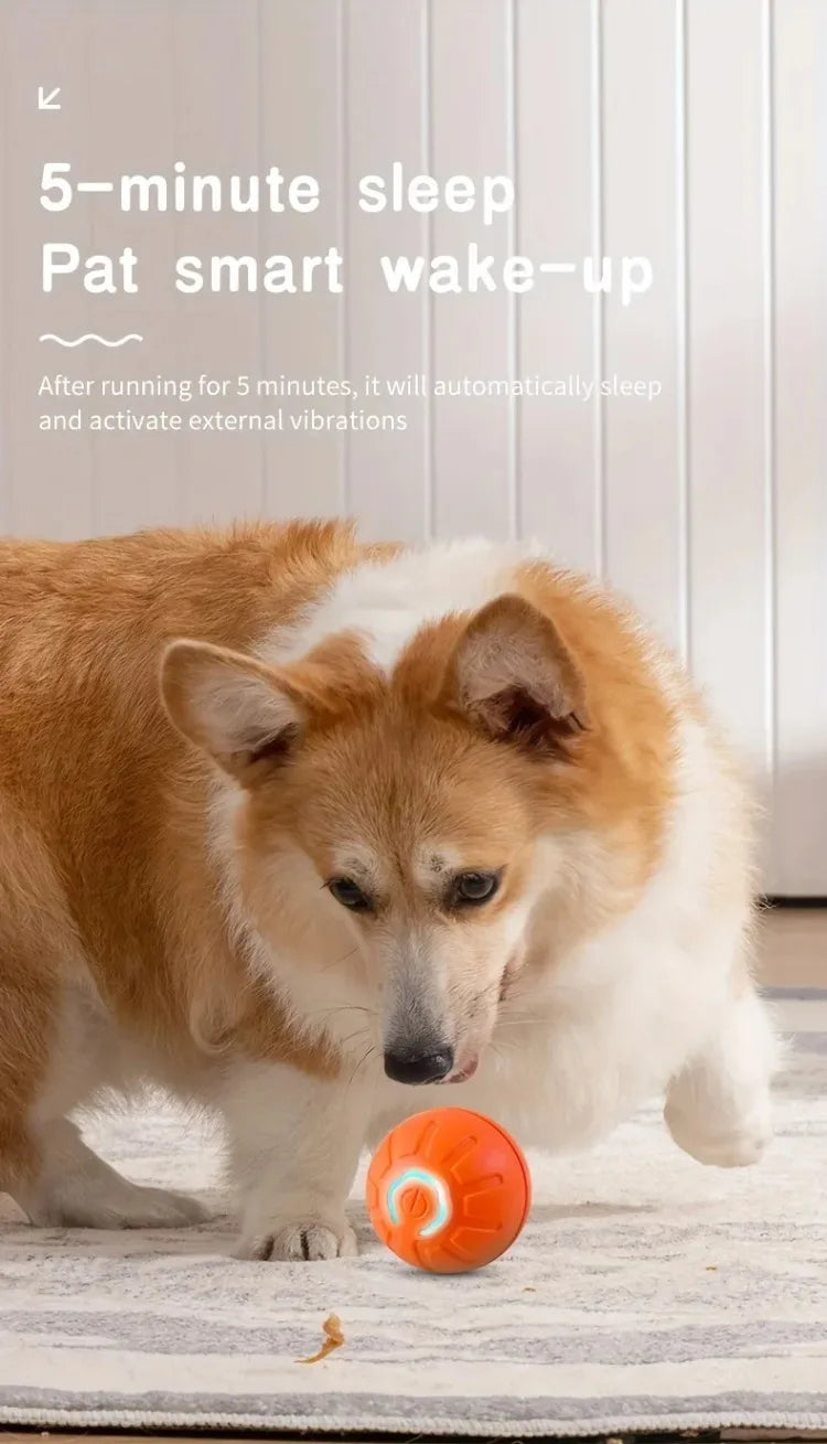 1-10PCS Smart Dog Toy Ball - Electronic Interactive Pet Toy