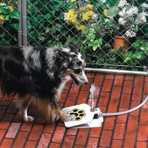 Outdoor Dog Pet Water Fountain - Step-On Paw Pad Activated