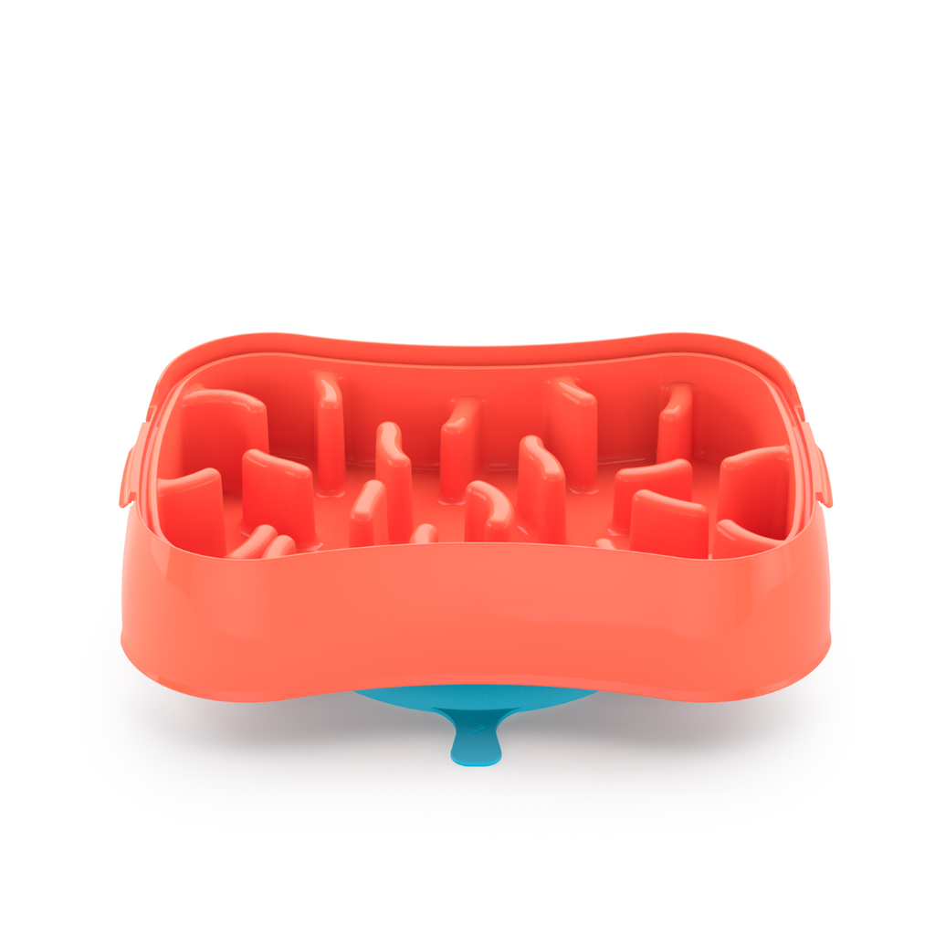 4-In-1 Slow Feeder Dog Bowl - Reversible Lick Mat & Travel Bowl
