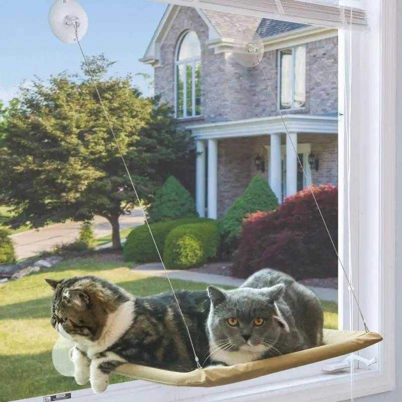 US LOCAL STOCK Cat Hammock - Window-Mounted Sucker Cat Nest