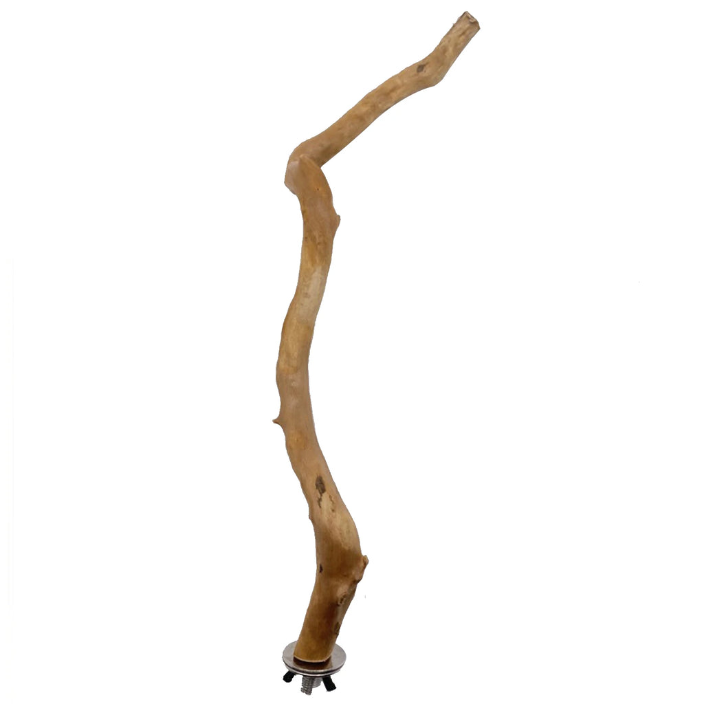Bird Perch Pet Parrot Birds Standing Stick - Natural Wooden Birds Toys