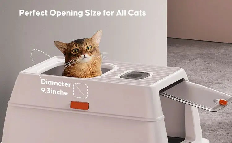 Stainless Steel Enclosed Litter Box - XL with Lid & Scoop