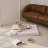 Plush Orthopedic Memory Foam Dog Bed Large Luxury Waterproof Reversible Pet Bed with Washable Cover & Non-Slip Bottom