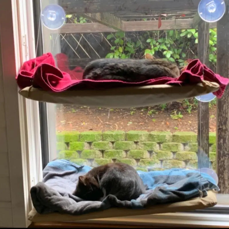 US LOCAL STOCK Cat Hammock - Window-Mounted Sucker Cat Nest