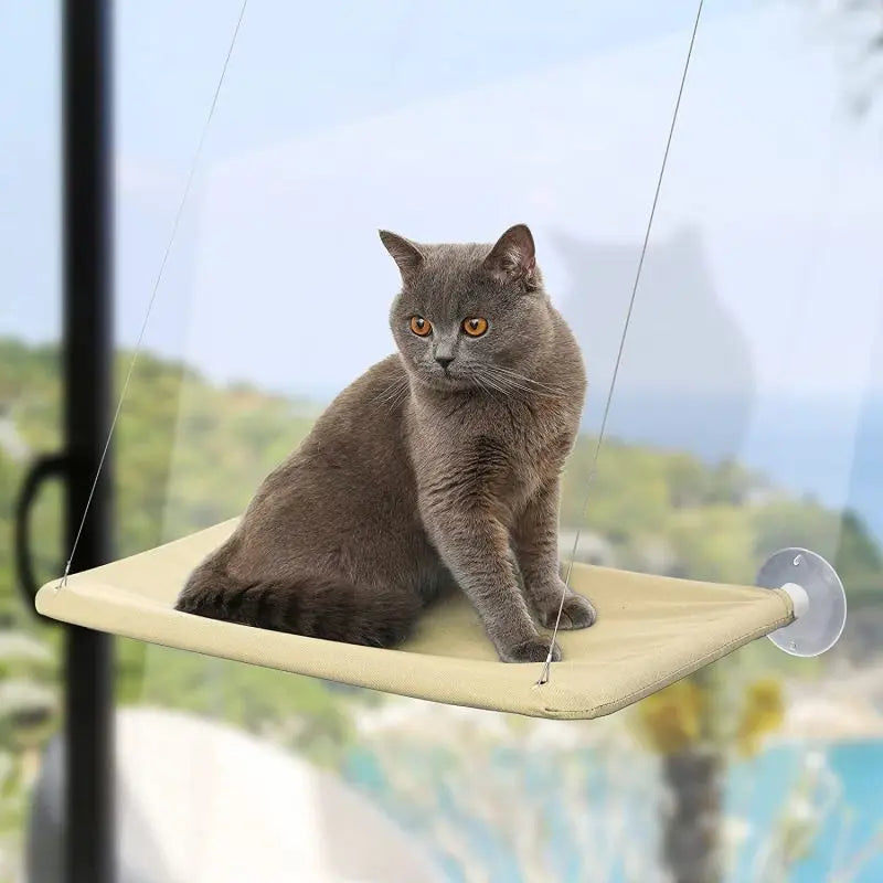 US LOCAL STOCK Cat Hammock - Window-Mounted Sucker Cat Nest