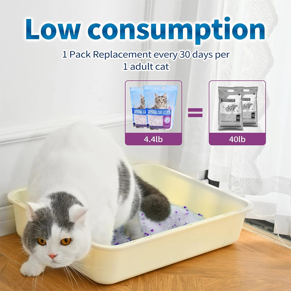 Lavender Scented Non-Clumping Cat Litter - Odor Control & Low Dust