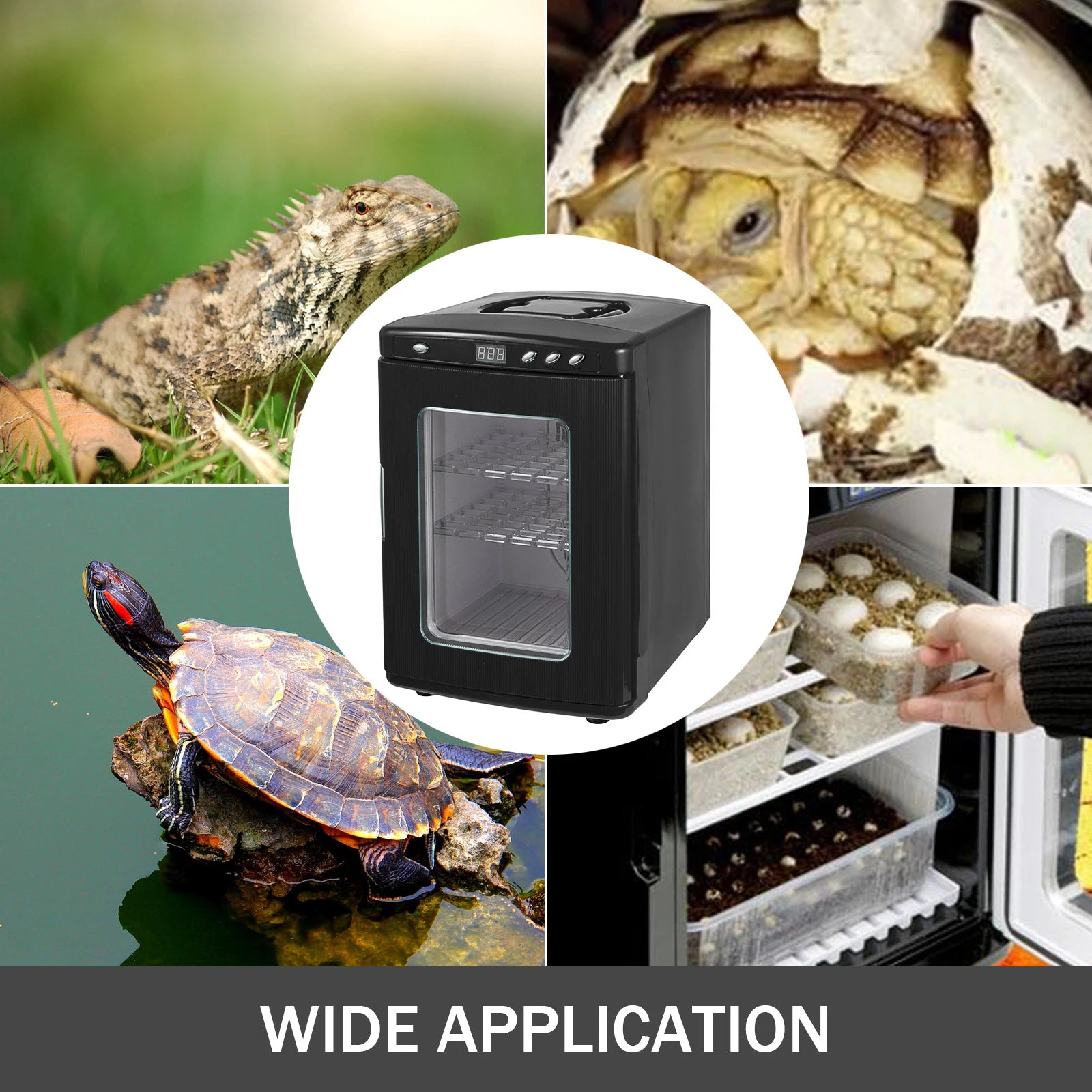 SucceBuy 25L Reptile Incubator - Digital Egg Incubator (5-42°C)
