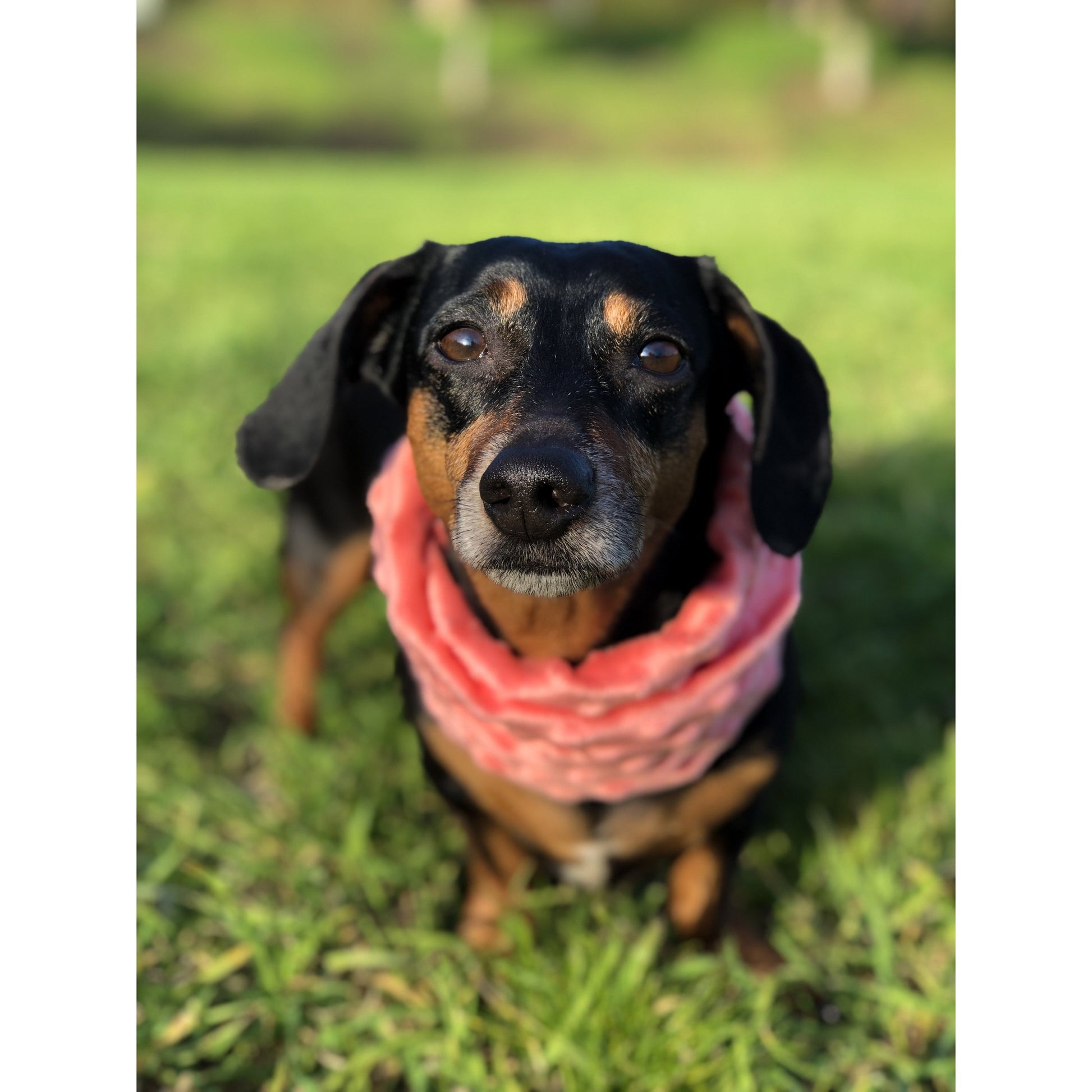 Hubba Hubba Scarf - Cozy Faux Fur Mommy & Me Scarf