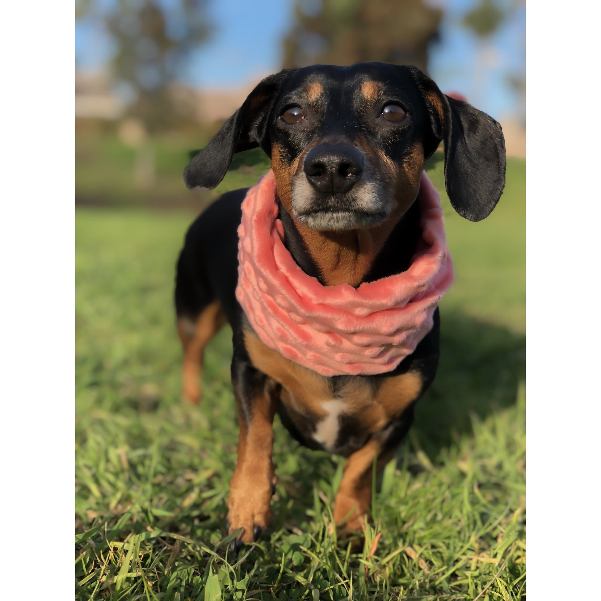 Hubba Hubba Scarf - Cozy Faux Fur Mommy & Me Scarf