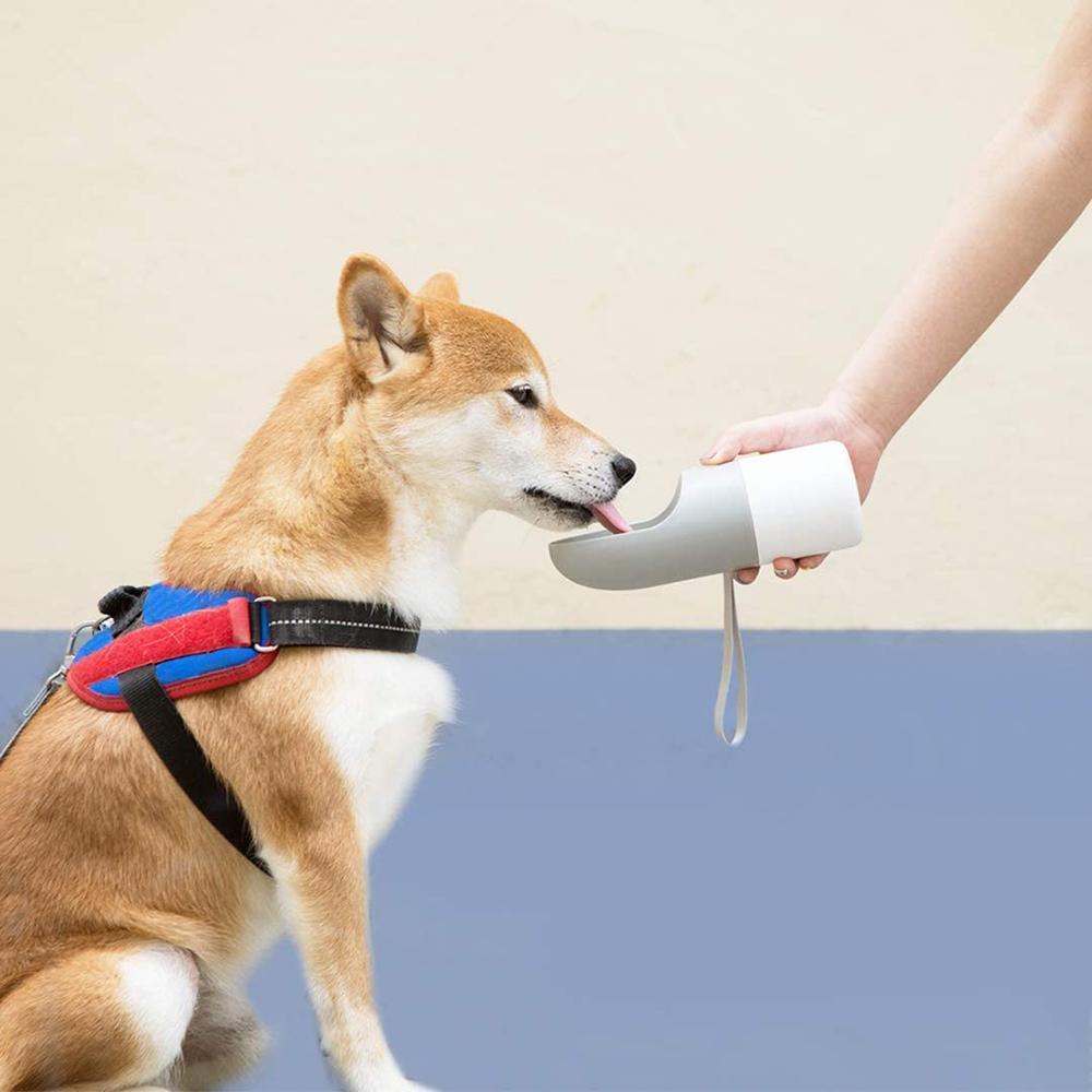 Instachew Rover Pet Travel Bottle - Dog Water Bottle & Food Dispenser