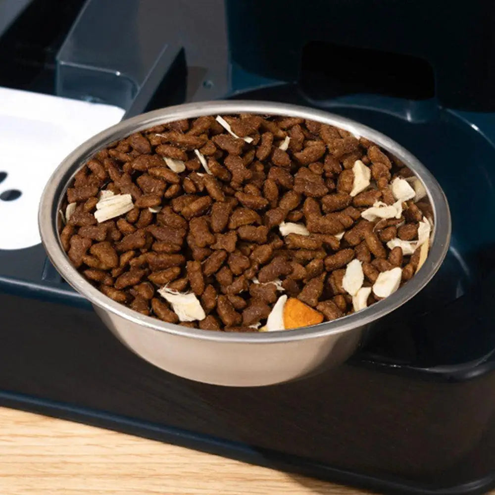 Automatic Feeder Cat Bowl - Pets Water Dispenser 2-in-1