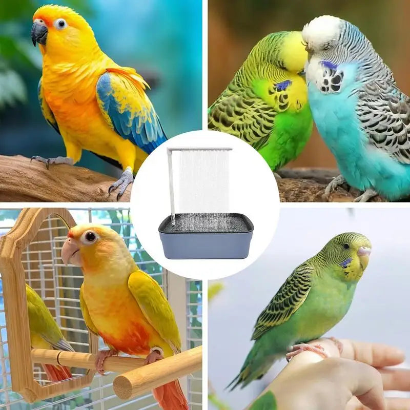 Parrot Automatic Bathtub with Shower - Easy to Clean for Birds