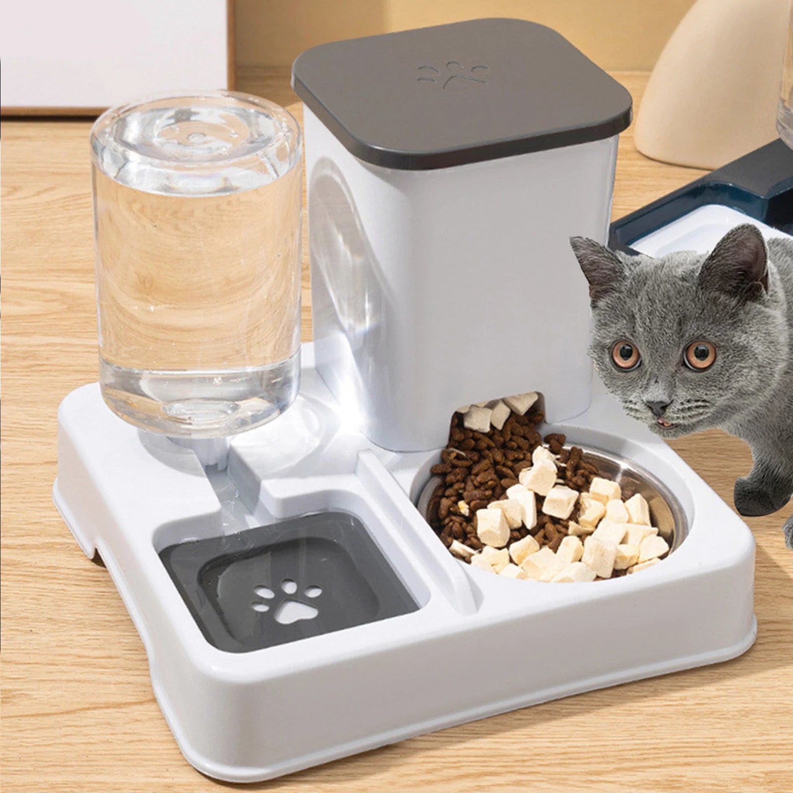 Automatic Feeder Cat Bowl - Pets Water Dispenser 2-in-1