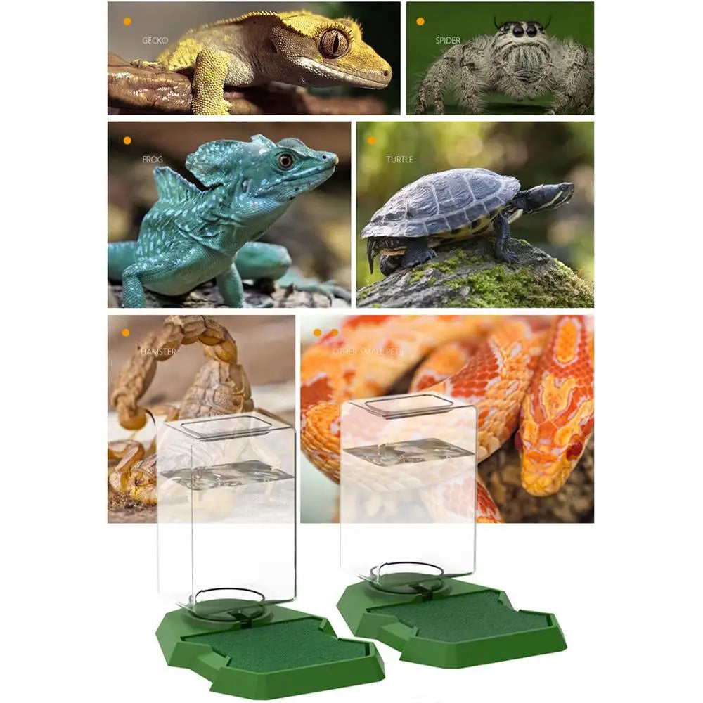 Reptile Water Bottle Automatic - Turtle Water Dispenser