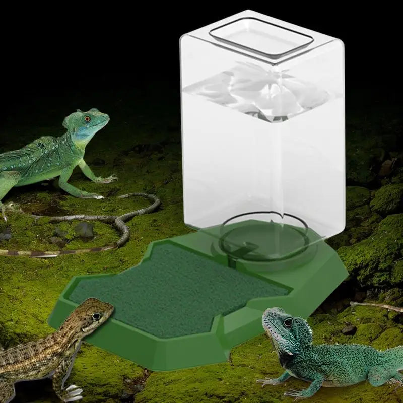 Reptile Water Bottle Automatic - Turtle Water Dispenser