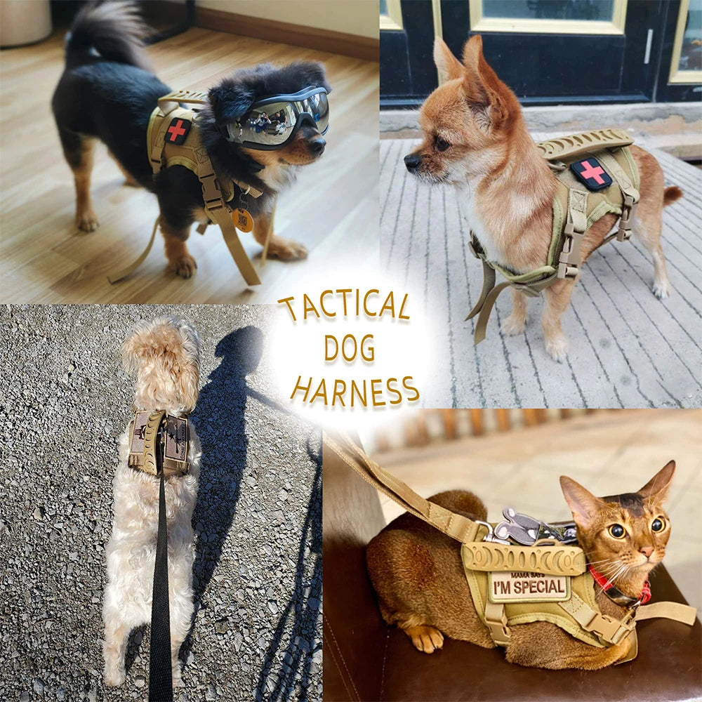 Tactical Puppy Harness Leash Set - Adjustable Vest for Small Dogs