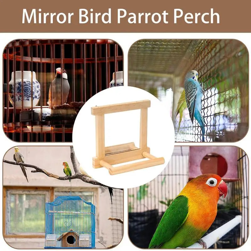 Bird Mirror Perches for Cage - Cockatiel Climbing Branch Toy