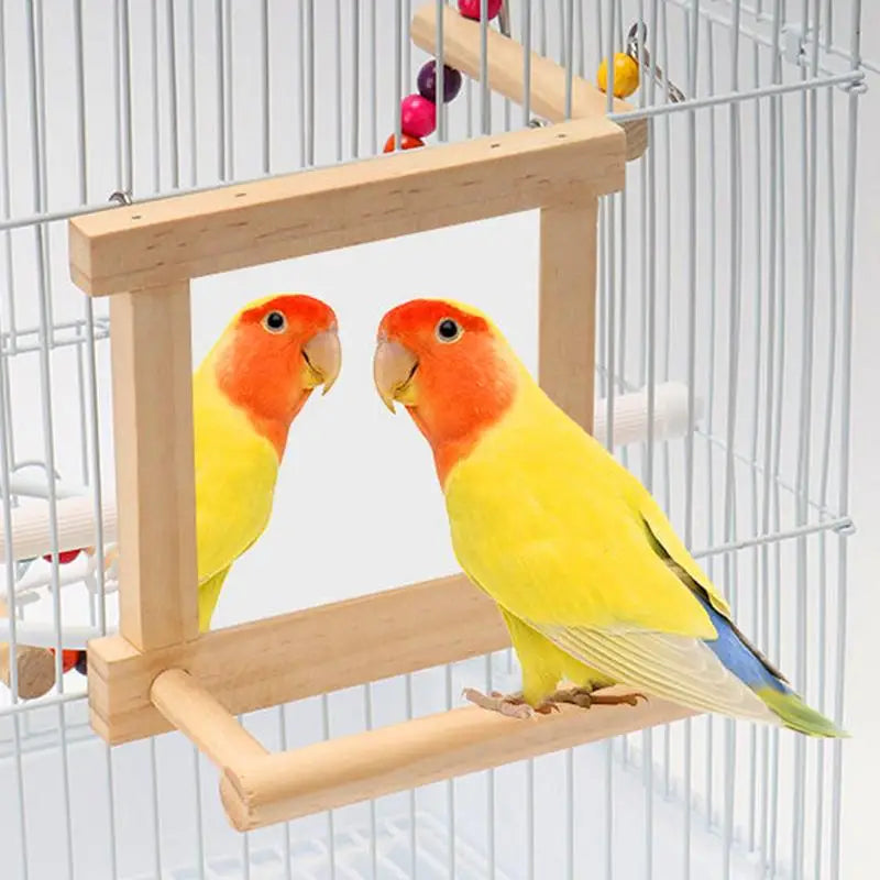 Bird Mirror Perches for Cage - Cockatiel Climbing Branch Toy