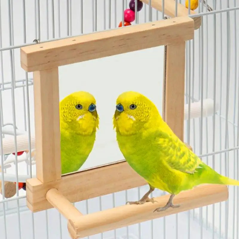 Bird Mirror Perches for Cage - Cockatiel Climbing Branch Toy