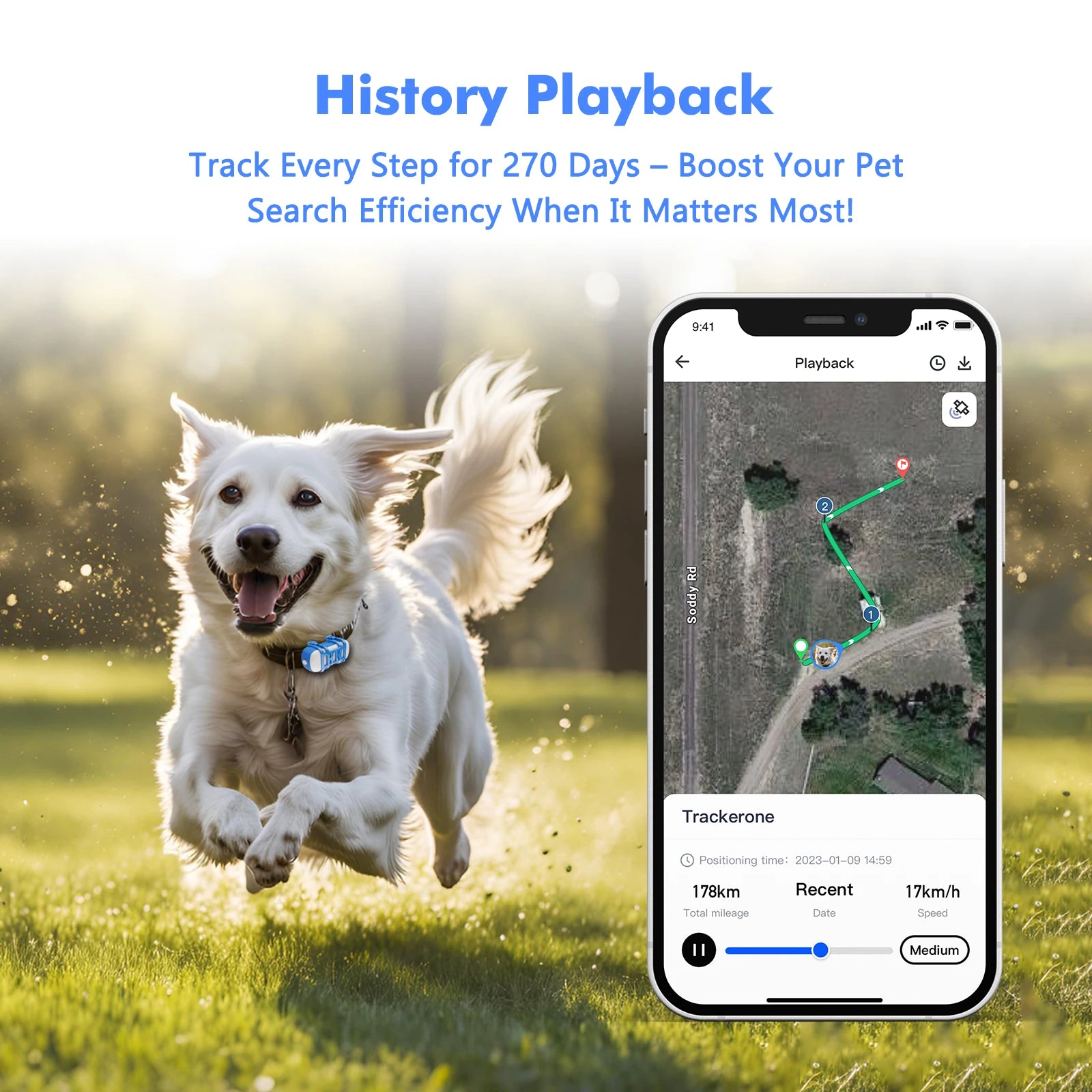 4G Mini GPS Tracker for Pet Cat - Waterproof Live Pet Locator