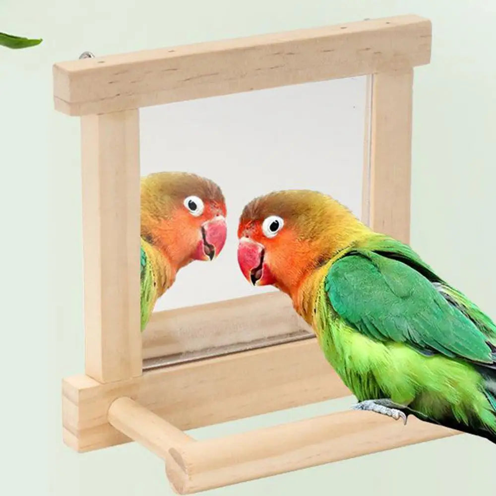 Bird Mirror Perches for Cage - Cockatiel Climbing Branch Toy