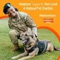 Nylabone Power Chew Large 1 Count Braided Bully Stick Alternative