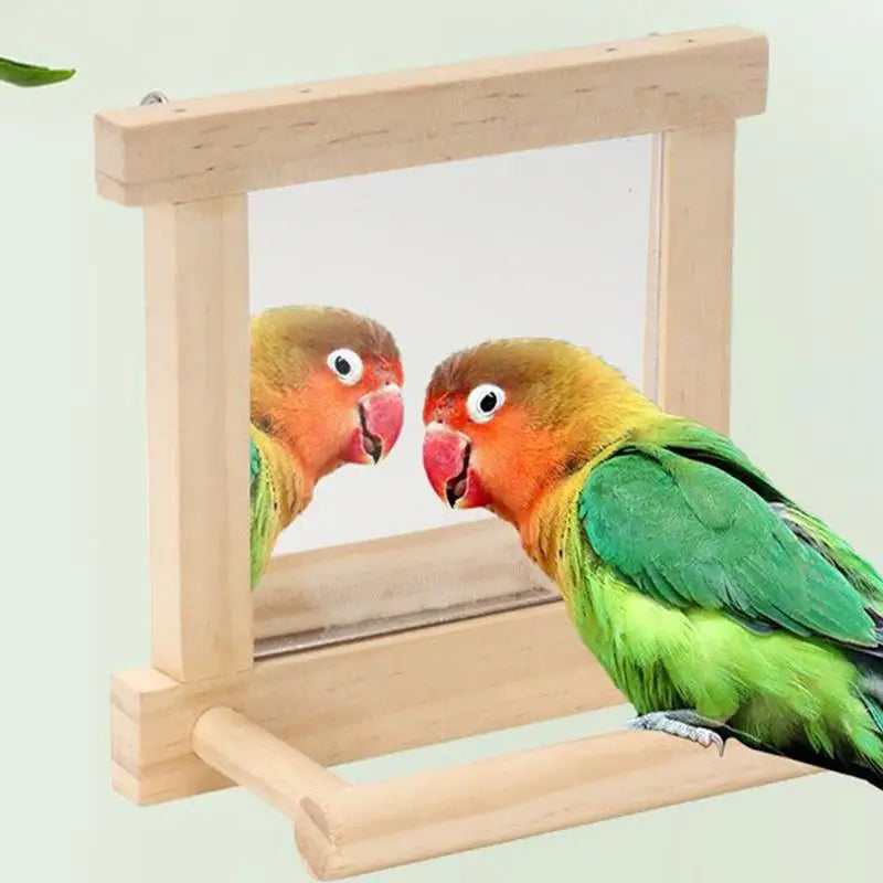 Bird Mirror Perches for Cage - Cockatiel Climbing Branch Toy