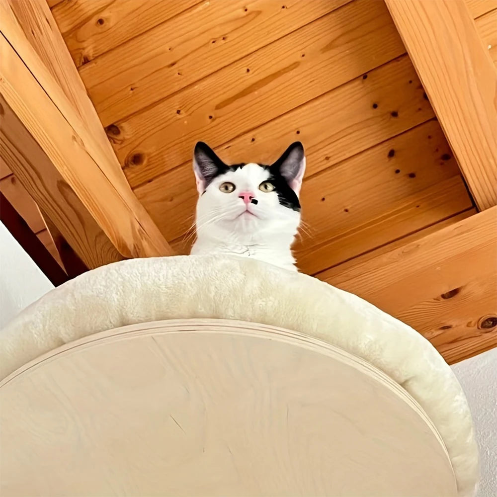 Cat Wall Mounted Wooden Furniture - Climbing Ladder & Cat Hammock