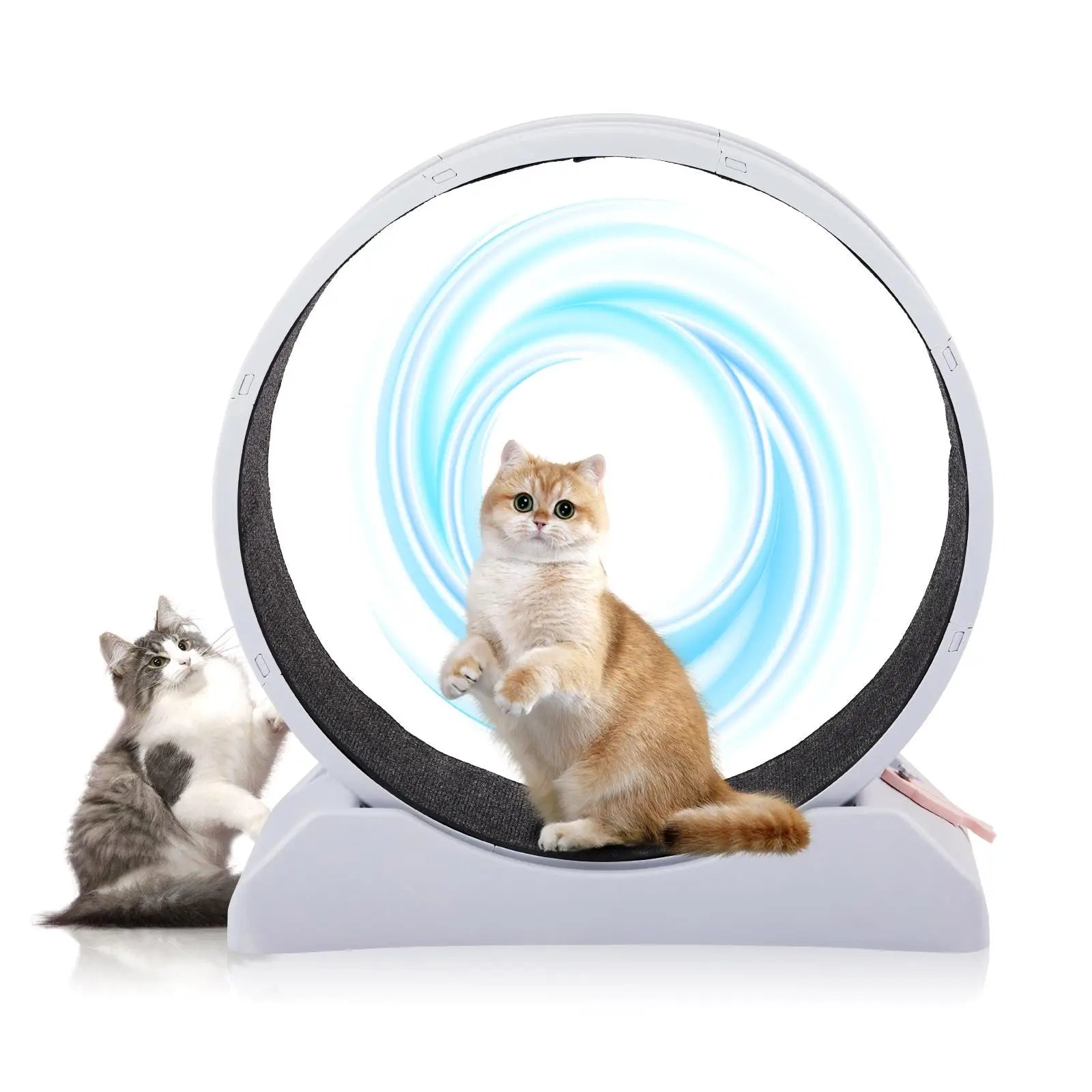 Indoor Cat Exercise Wheel - 31-Inch Treadmill for Cats
