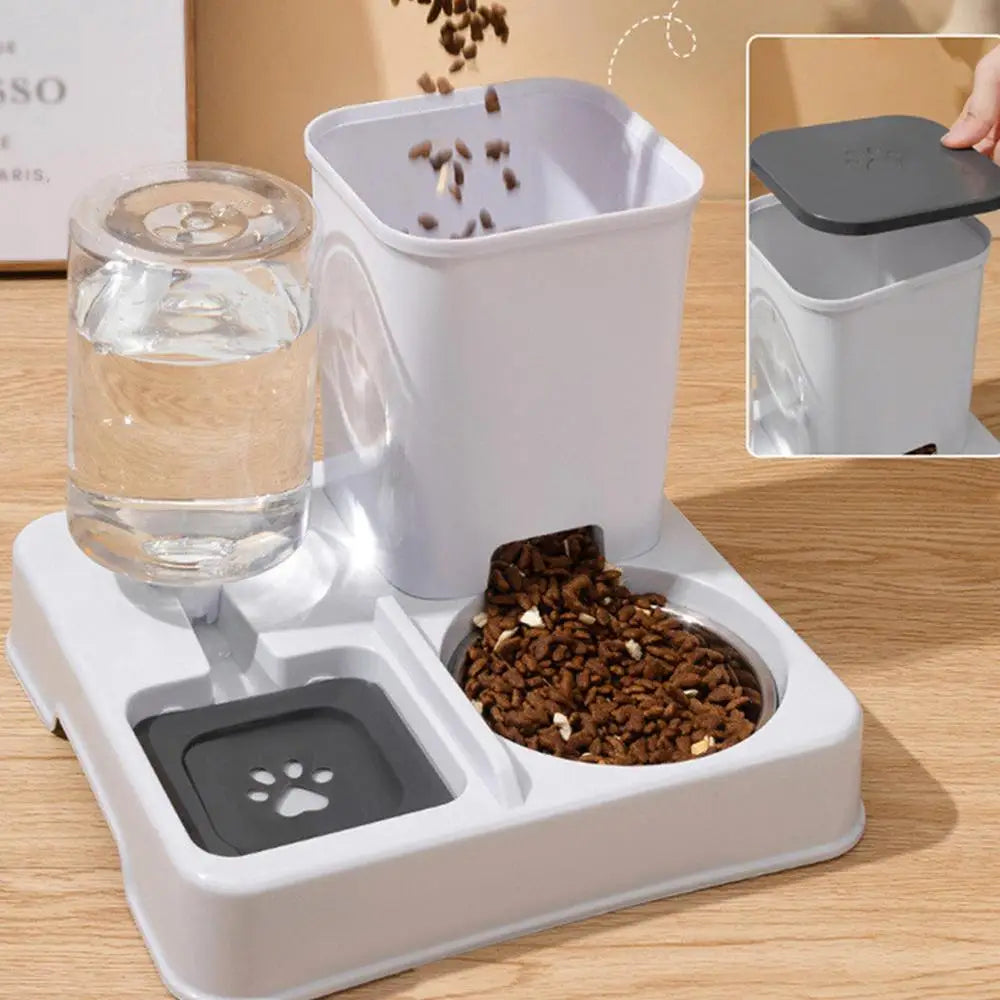 Automatic Feeder Cat Bowl - Pets Water Dispenser 2-in-1