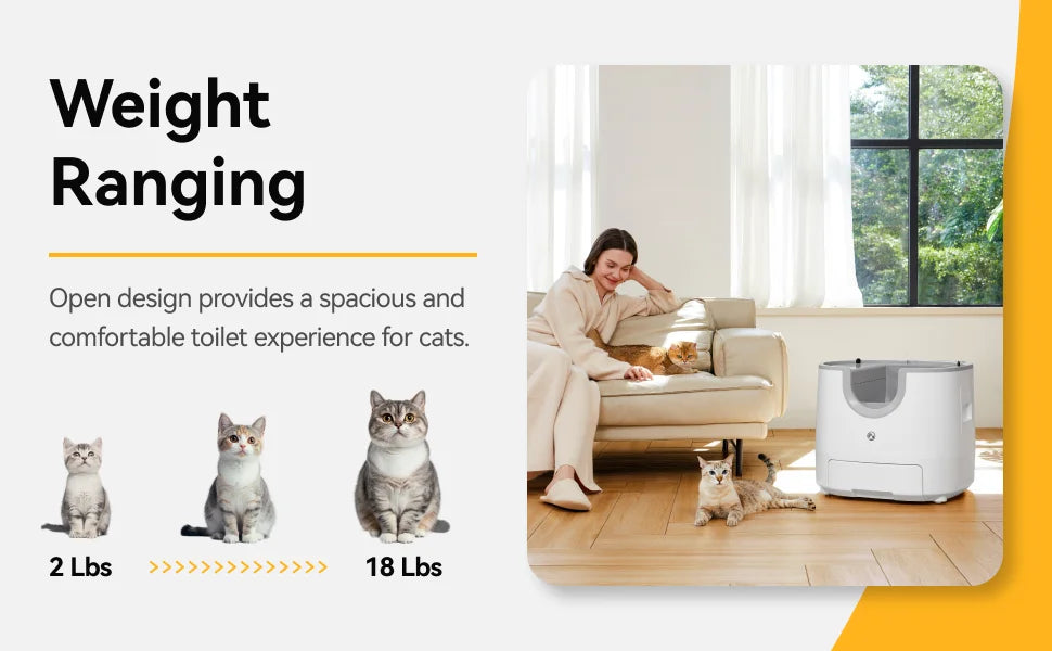 Self-Cleaning Cat Litter Box - Open-Top Design for Multi-Cat Homes