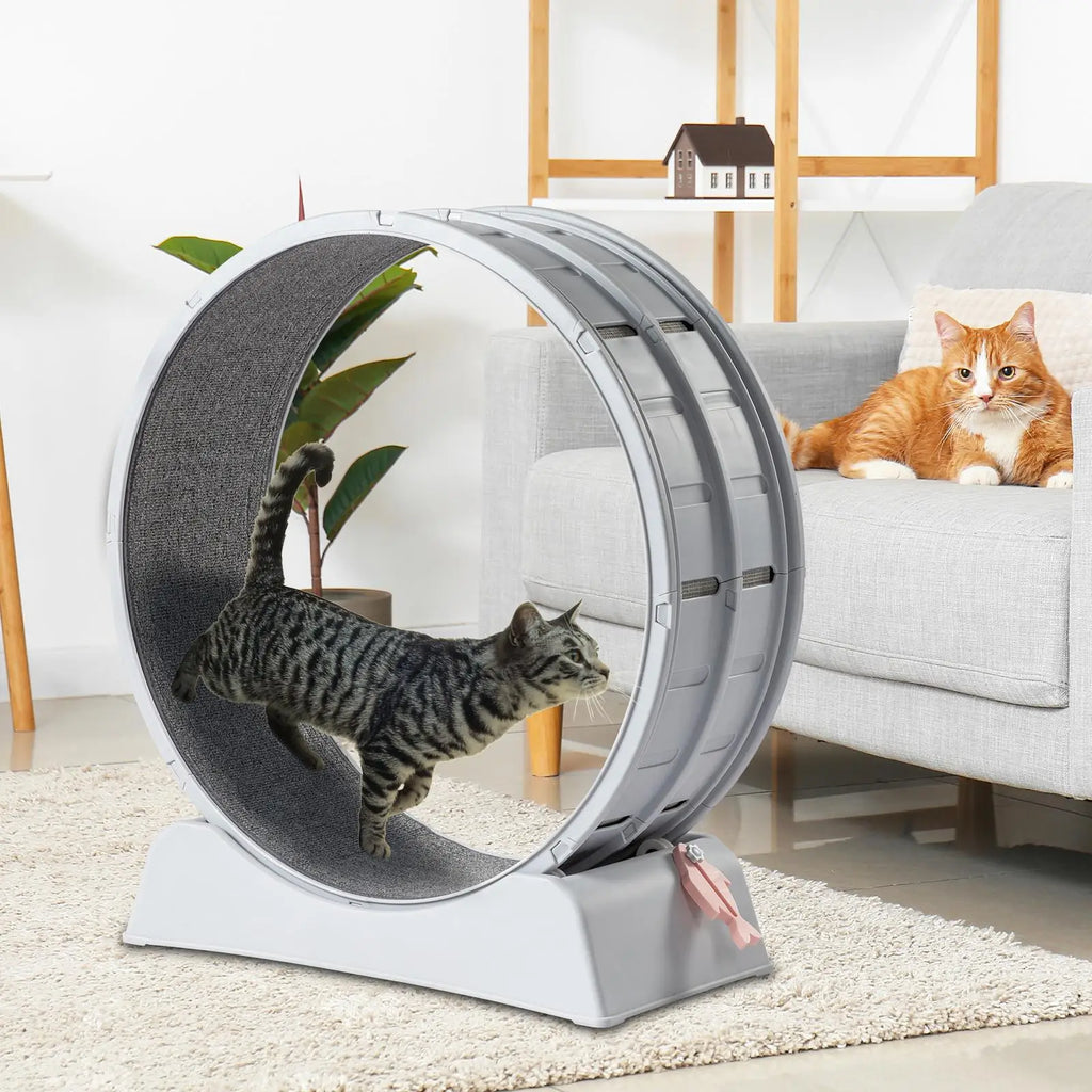 Indoor Cat Exercise Wheel - 31-Inch Treadmill for Cats
