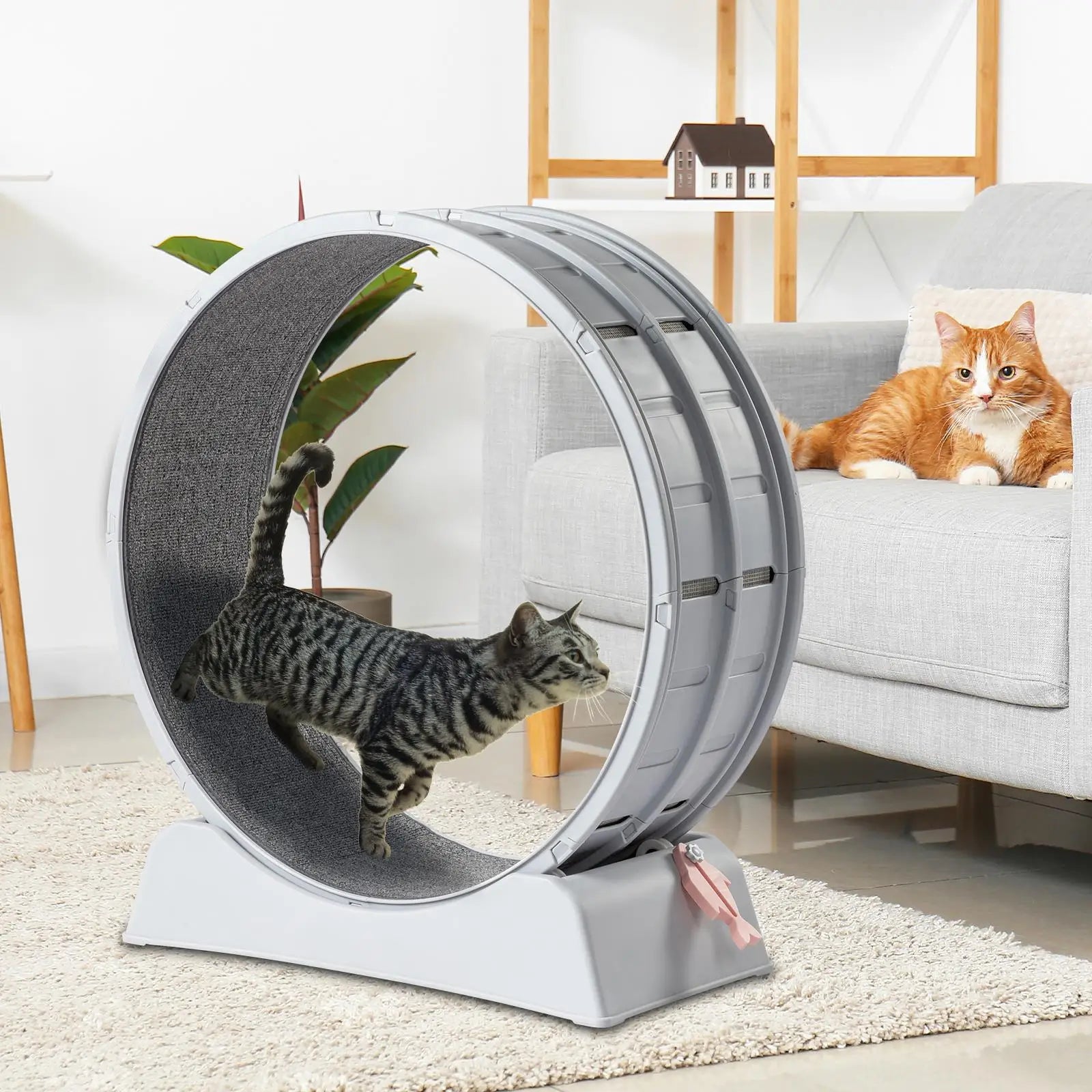 Indoor Cat Exercise Wheel - 31-Inch Treadmill for Cats