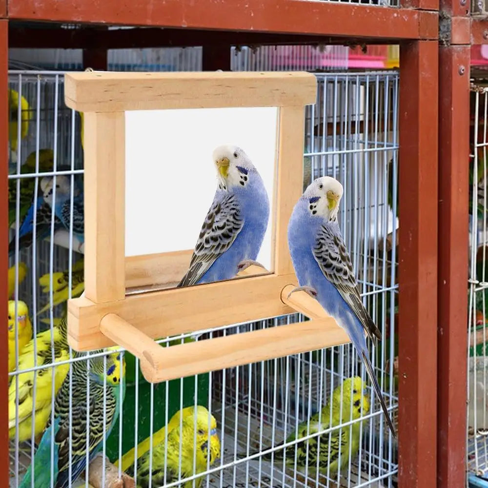 Bird Mirror Perches for Cage - Cockatiel Climbing Branch Toy