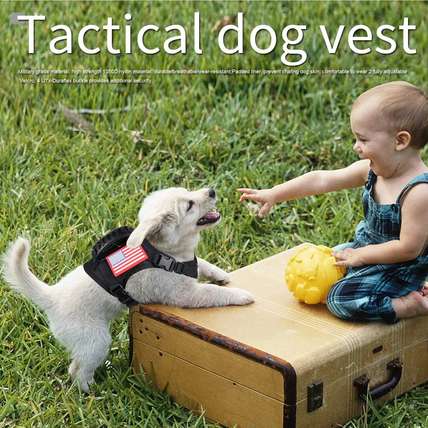 Tactical Puppy Harness Leash Set - Adjustable Vest for Small Dogs