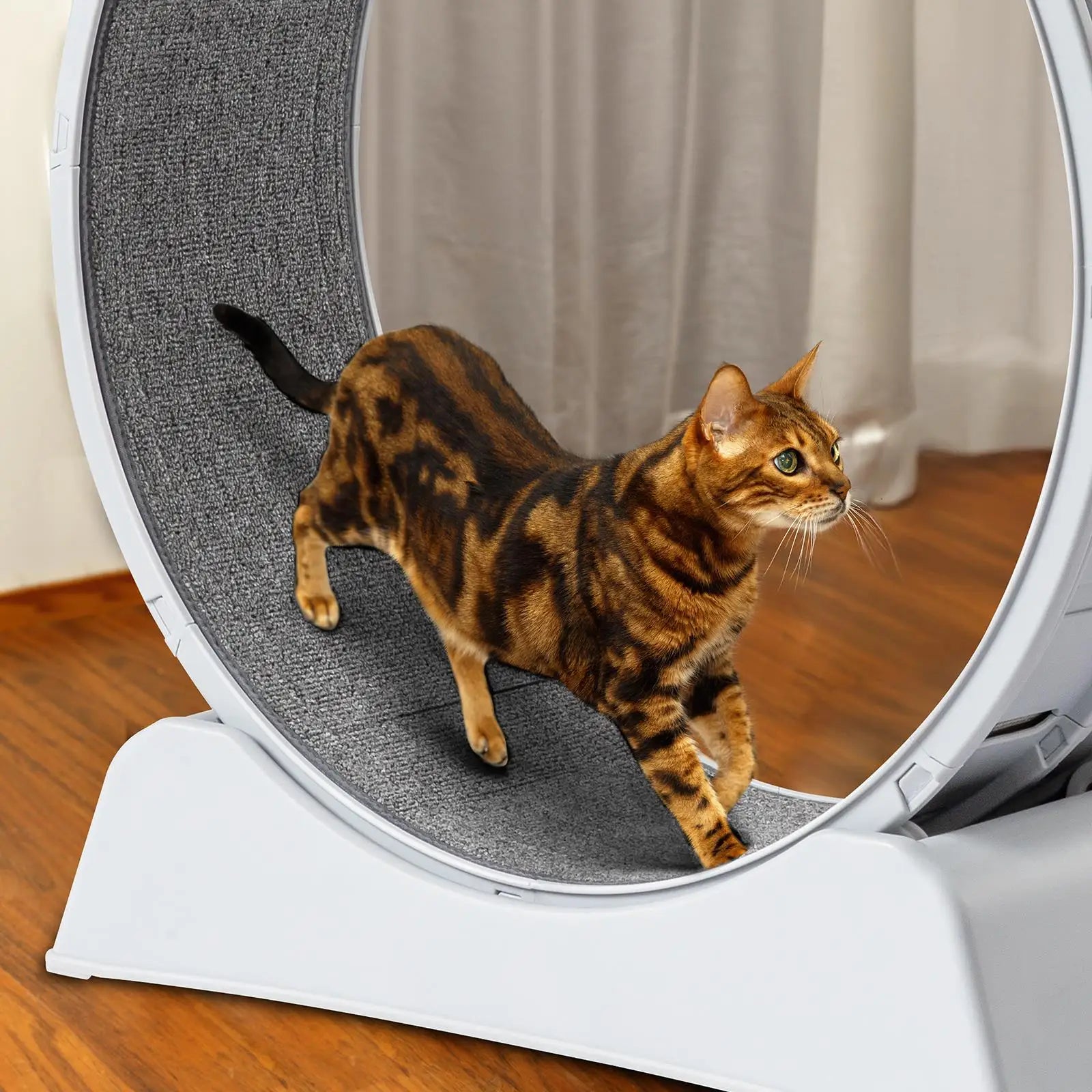 Indoor Cat Exercise Wheel - 31-Inch Treadmill for Cats
