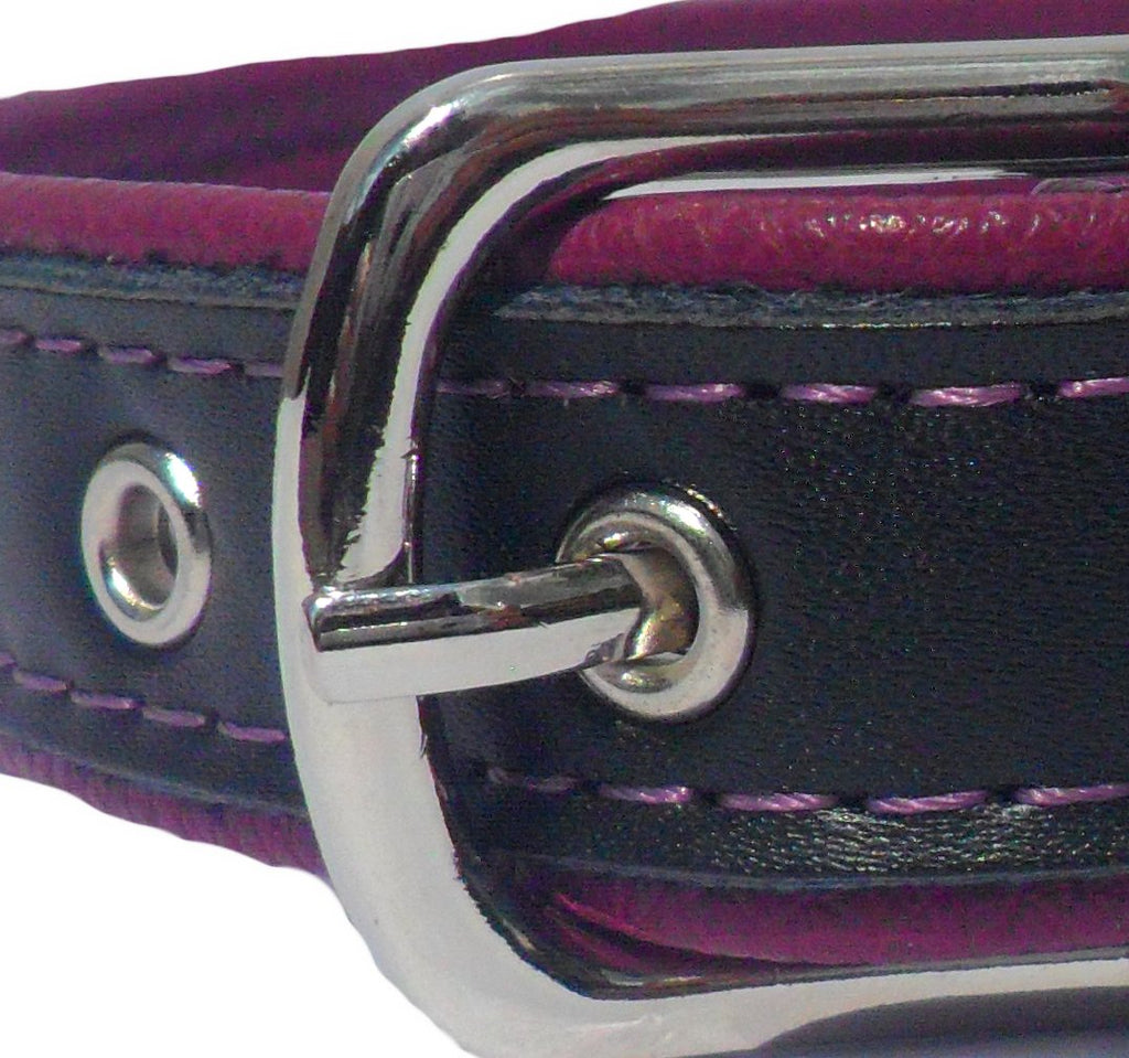 Berry Dog Collar - Strong Faux Leather with Purple Layer