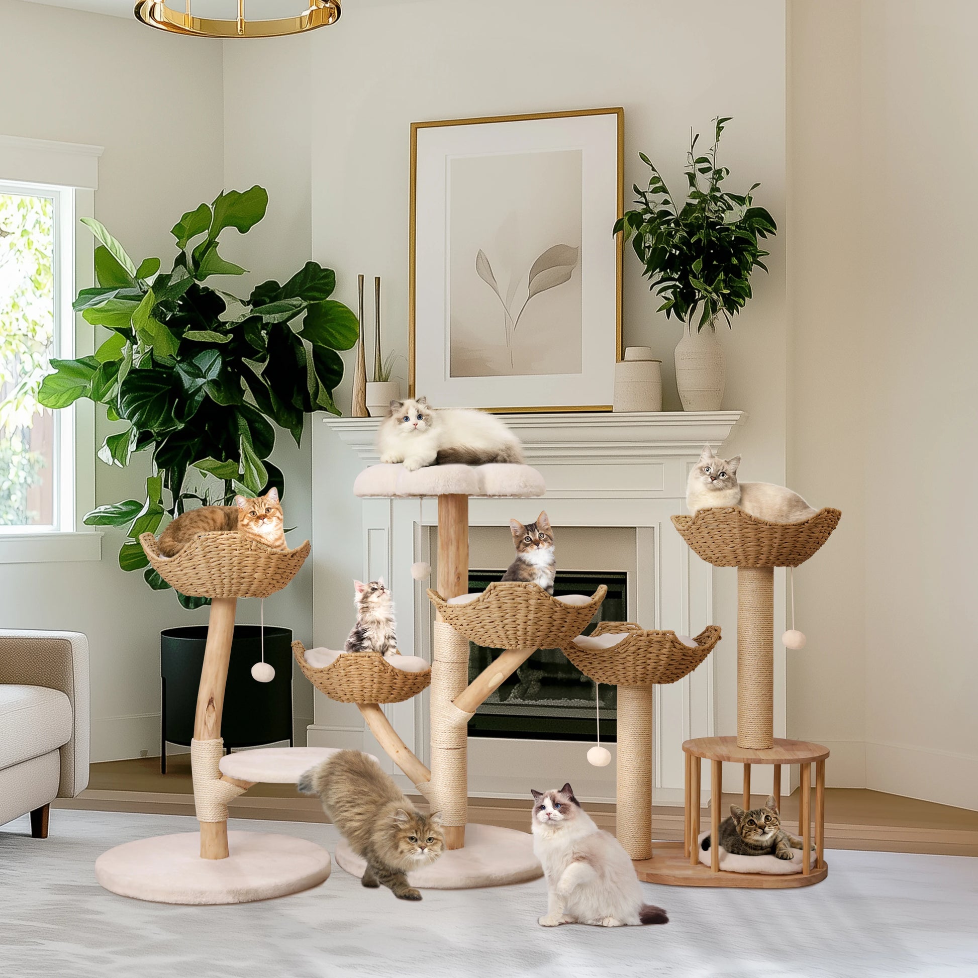 Bingopaw Cat Tree Tower Condo - Multi-Level Scratch Post for Kittens