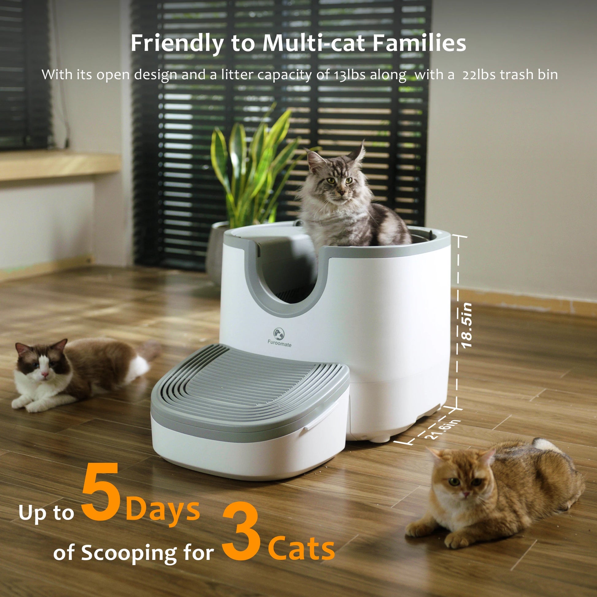 Self-Cleaning Cat Litter Box - Open-Top Design for Multi-Cat Homes