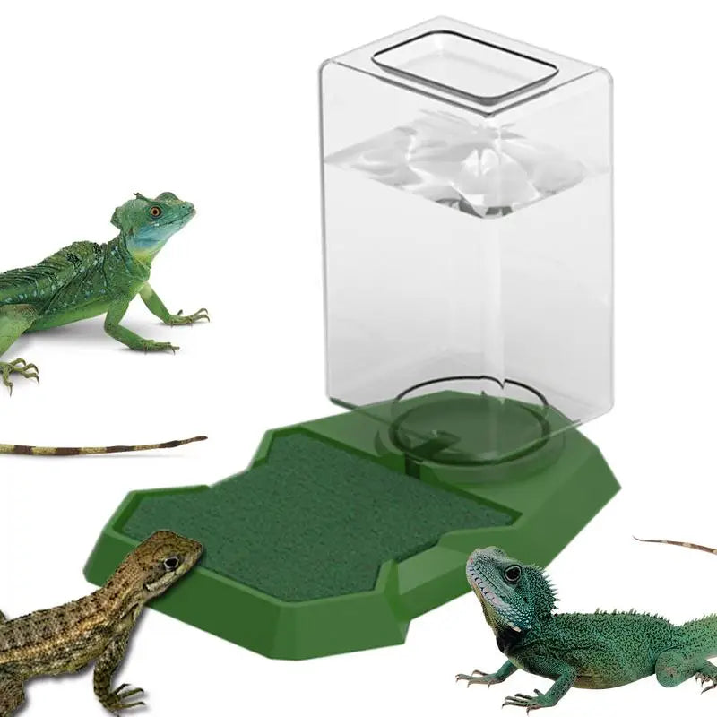 Reptile Water Bottle Automatic - Turtle Water Dispenser