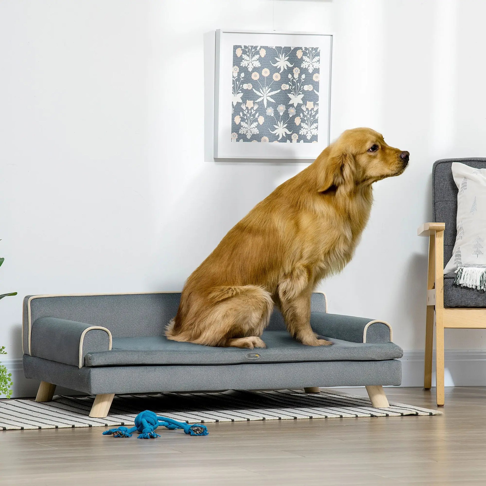 Water-Resistant Grey Pet Sofa for Large/Medium Dogs - Wooden Legs