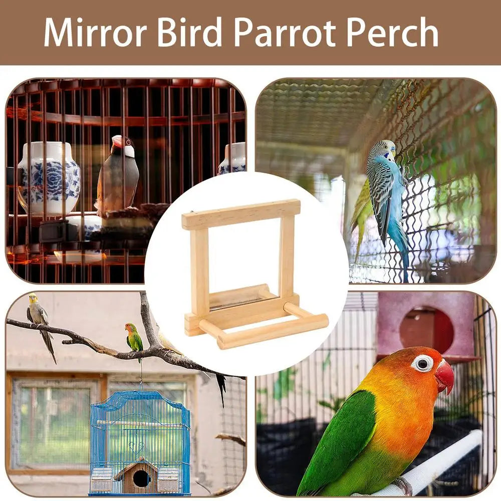 Bird Mirror Perches for Cage - Cockatiel Climbing Branch Toy