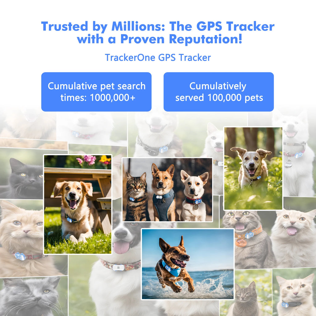 4G Mini GPS Tracker for Pet Cat - Waterproof Live Pet Locator