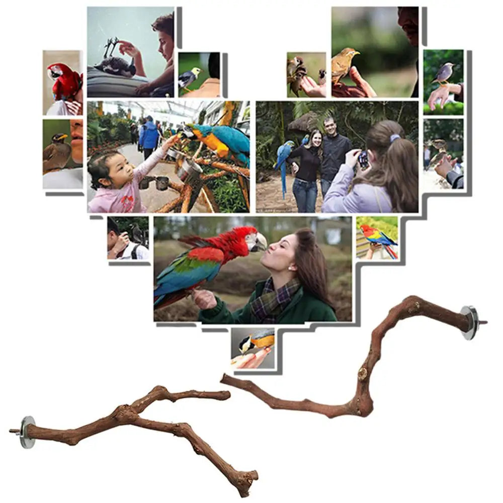 Bird Perch Pet Parrot Birds Standing Stick - Natural Wooden Birds Toys
