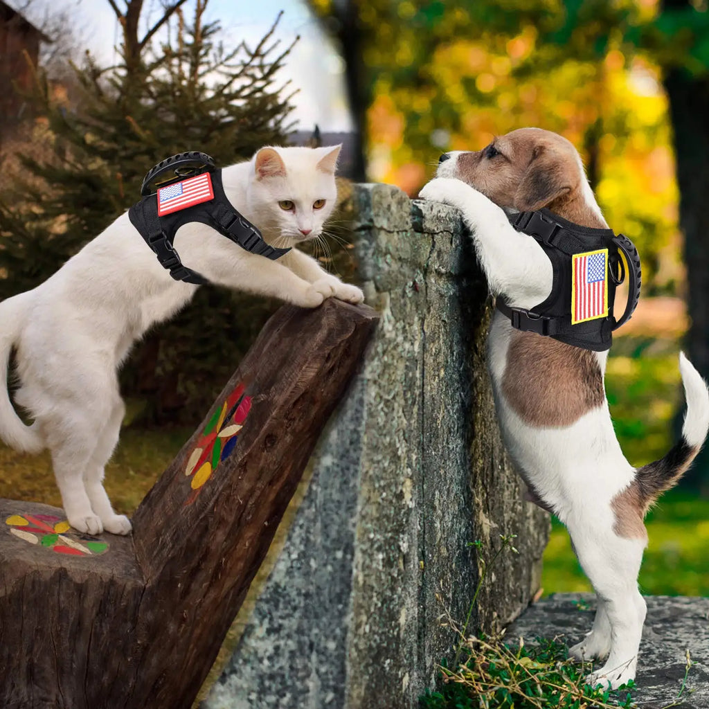 Tactical Puppy Harness Leash Set - Adjustable Vest for Small Dogs