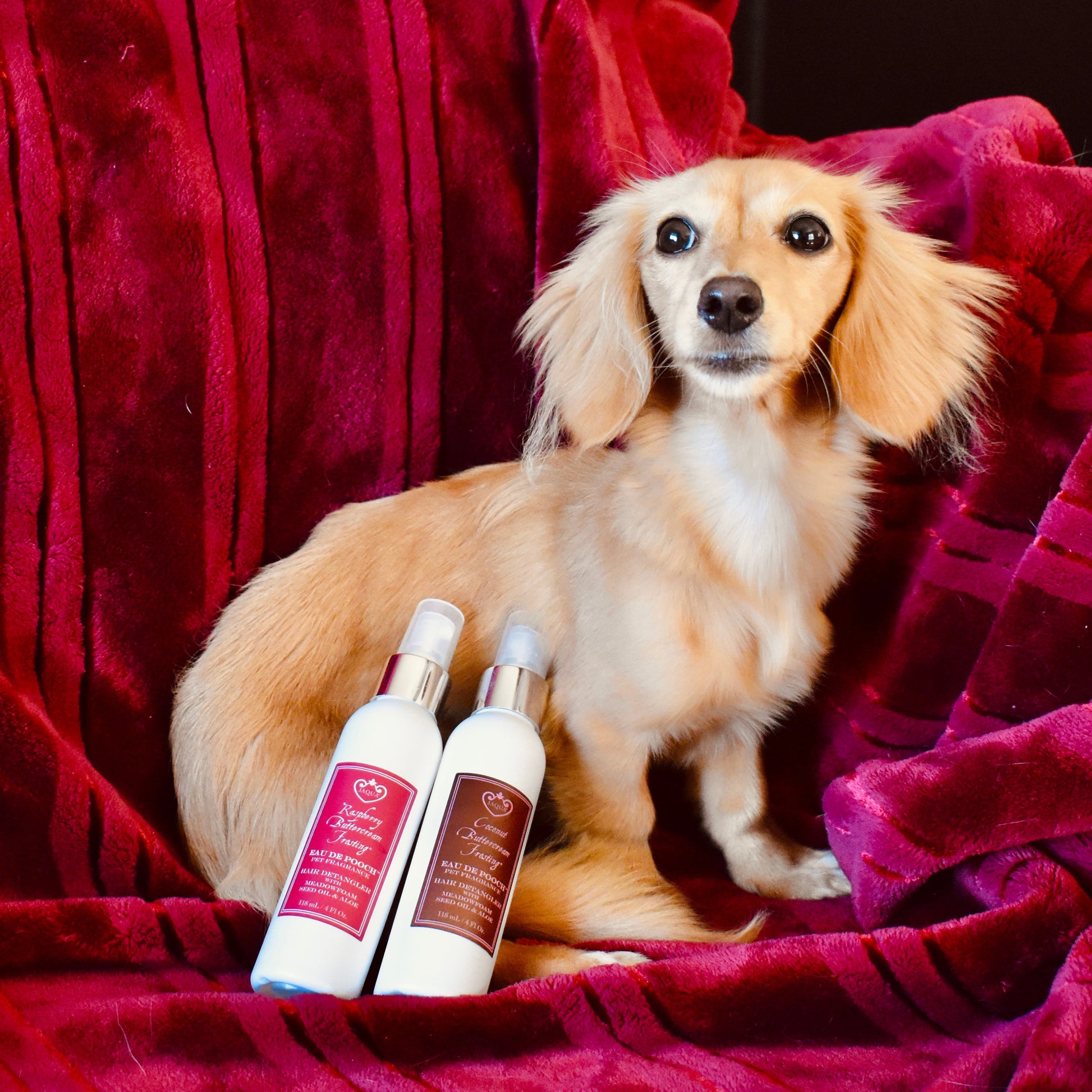 Coconut Buttercream Frosting Pet Fragrance - Dog & Cat Detangler Spray
