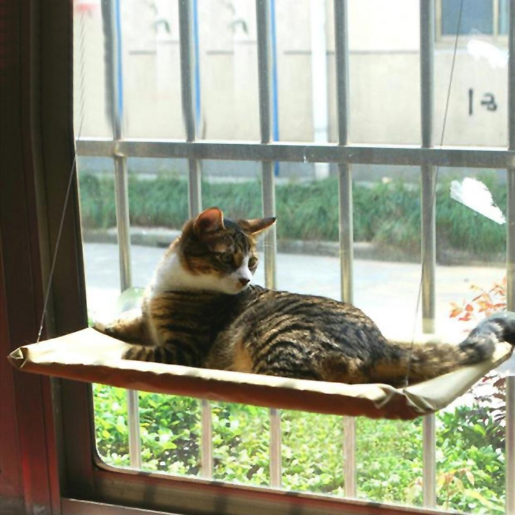 Cat Window Bed - Heavy-Duty Perch Hammock with Suction Cups