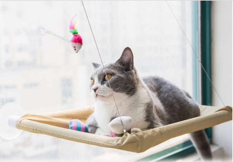 Cat Window Bed - Heavy-Duty Perch Hammock with Suction Cups