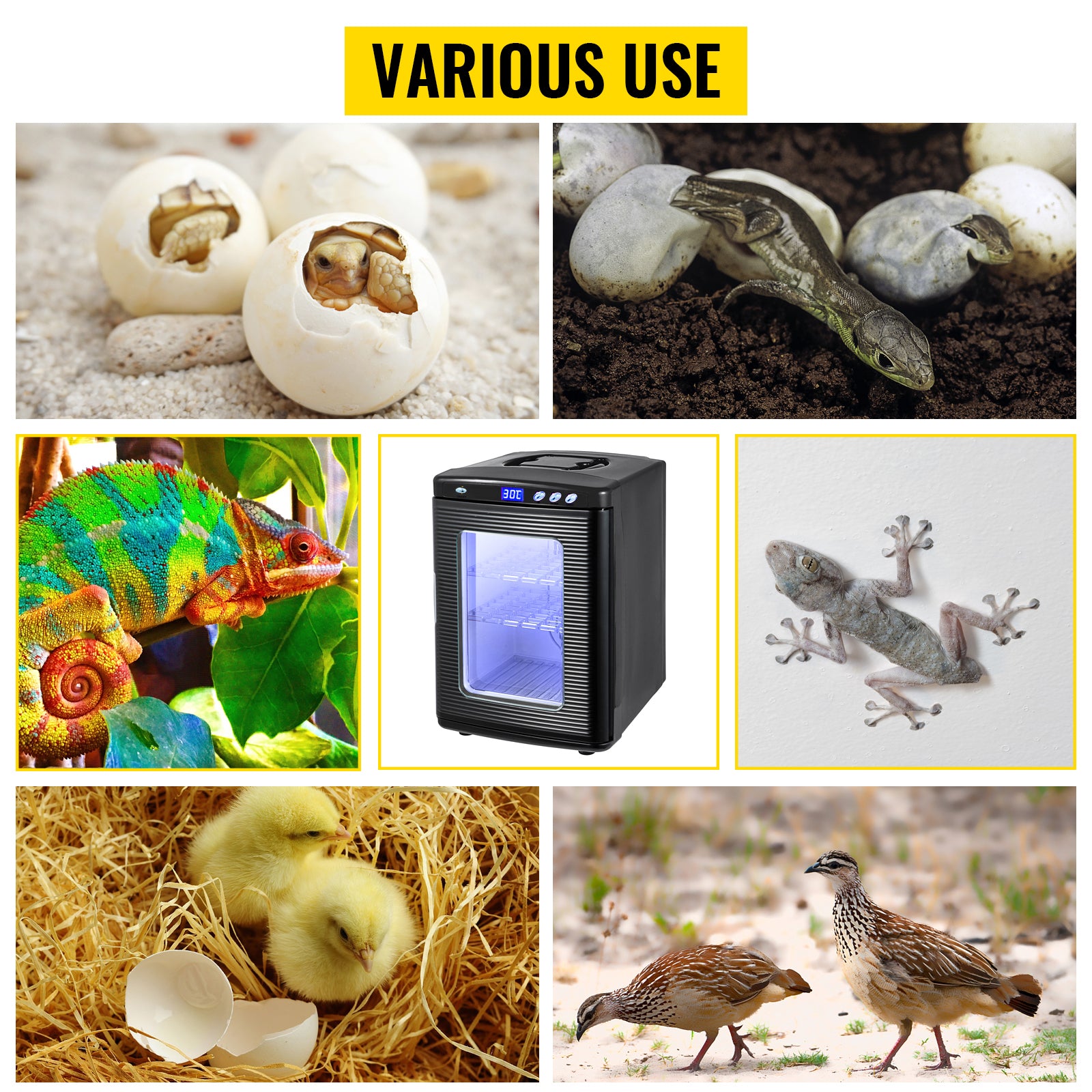 SucceBuy 25L Reptile Incubator - Digital Egg Incubator (5-42°C)